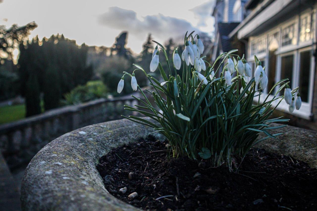 Rowhill Grange Hotel&Utopia Spa Dartford Esterno foto